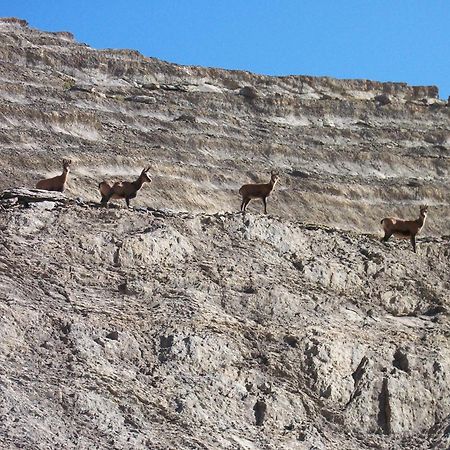 فندق Camping Pineta بييلسا المظهر الخارجي الصورة